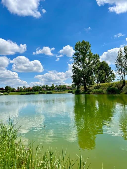 Holiday home Dom Pri Jazere 23 Minut Od Bratislavy